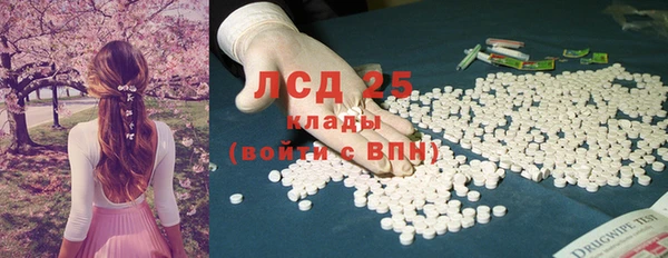 сатива Мегион