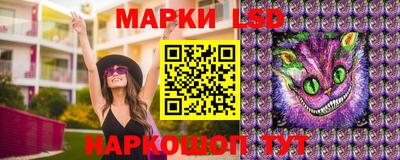 Альфа ПВП Кингисепп