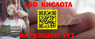 прущие грибы Кимры