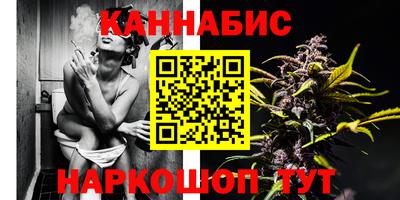 Альфа ПВП Кингисепп