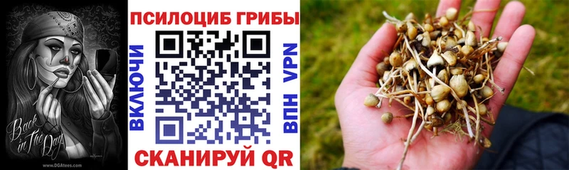 Псилоцибиновые грибы GOLDEN TEACHER Шадринск