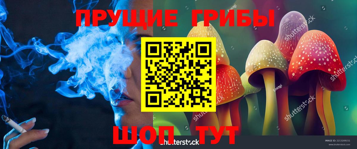 Гашиш  Экстази  Шадринск  Где купить наркотики?  Бошки Шишки  ГАШИШ  A PVP СОЛЬ   Меф МЯУ МЯУ   Cocaine  Вход с VPN 